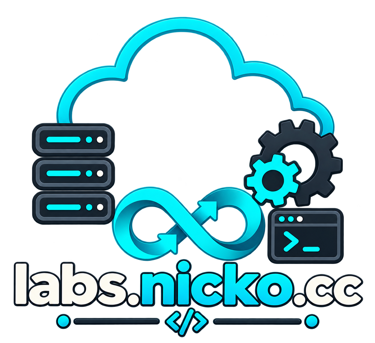 labs.nicko.cc